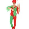 HPO Adult Men's Elf Christmas Costume | Red And Green Halloween Costume