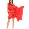 FLAGWIGS Adult Women's Flag Dress Sport Costume | Red Cosplay Costume