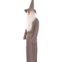 HPO Adult Men's Wizard Hat & Robe TV/Movie Costume | Grey Cosplay Costume