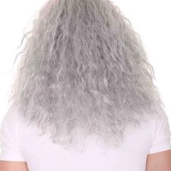 HPO Grey Men's Wig | Wig & Beard For Cosplay Wizard | Premium Breathable Capless Cap