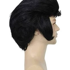 BC Adult Men's Black Color Straight Updo Rock And Roll Icon Wig