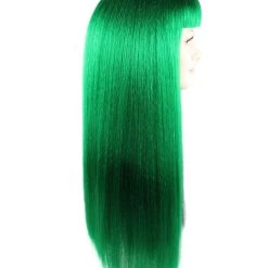 HPO Womens Singer Wig | Long Green Black Celebrity Straight Wig | Premium Breathable Capless Cap 13 HPO Womens Singer Wig | Long Green Black Celebrity Straight Wig | Premium Breathable Capless Cap