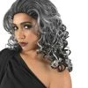 HPO Women's Evil Queen Wig