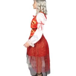 HPO Adult Women's Pirate Captain 3Pc Costume | Multi Cosplay Costume