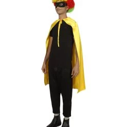 HPO Adult Men's Superhero Cape With Mask Set Costume | Multiple Color Options Halloween Costume