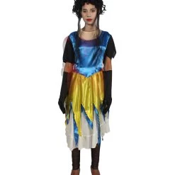 HPO Adult Women Fairy Tale Princess Costume | Multicolor Cosplay Costume