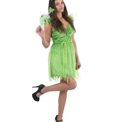 HPO FAIRY COSTUME