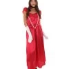 HPO Adult Women's Aristocrat Socialite Dress 20s Costume | Dark Red Cosplay Costume