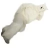 HPO Furry Dog Collection | Men's White Furry Cat Cosplay Costume With Tail