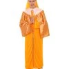 HPO Adult Men's Wise Gaspar Religious Costume | Multi Cosplay Costume