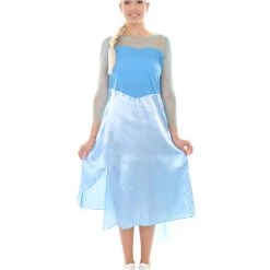 HPO Adult Women's Dress Costume | Blue Cosplay Costume