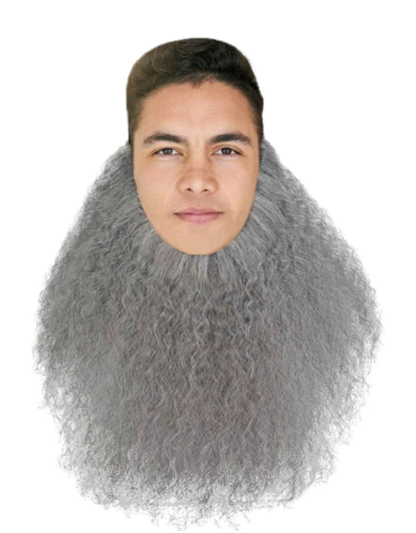 HPO Mens 12" Long Beard | Grey TV/Movie Wigs Men's 1 HPO Mens 12" Long Beard | Grey TV/Movie Wigs Men's