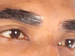 Men's Eye Brows | Black Human Facial Hair | HPO
