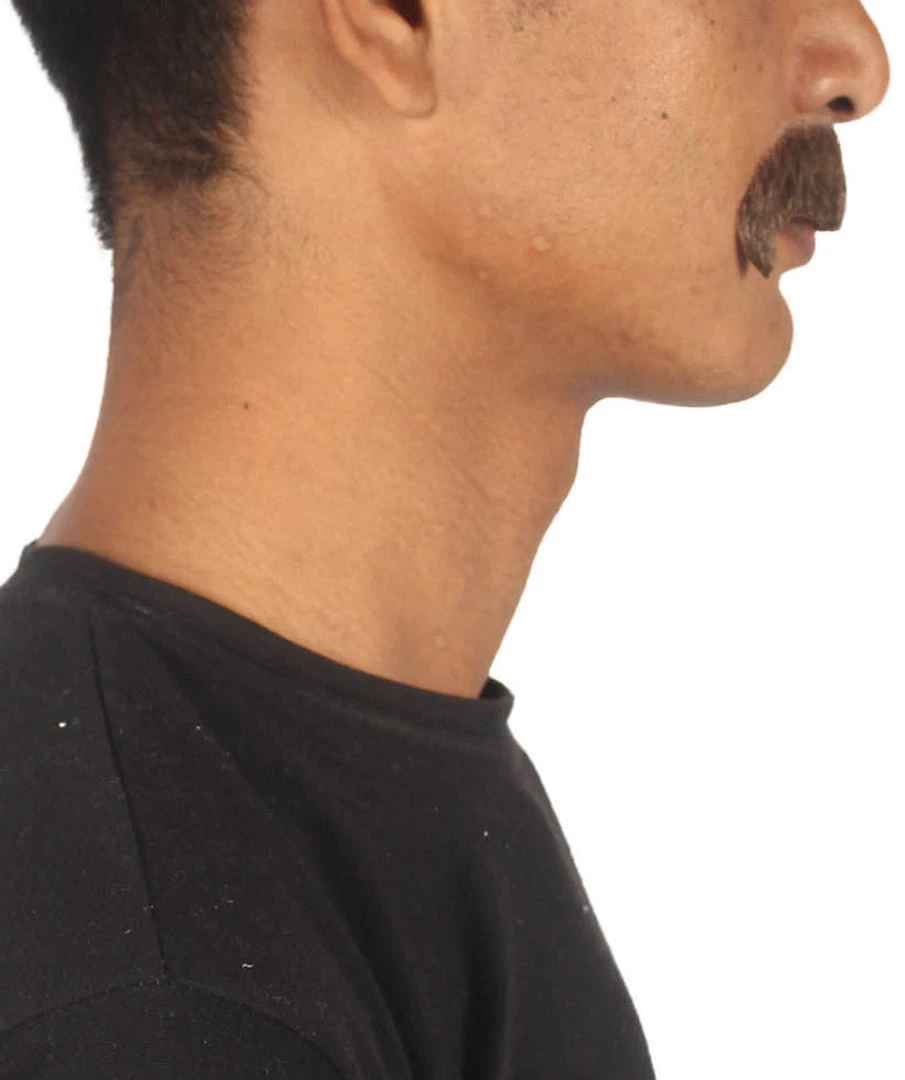 HPO Adult Men's Fake Human Hair Zappa Mustache | Multiple Colors 9 HPO Adult Men's Fake Human Hair Zappa Mustache | Multiple Colors