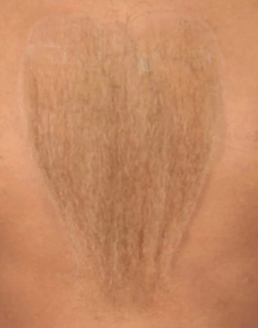 HPO Adult Men's Fake Human Hair Blend Realistic Chest Hair | Multiple Colors 7 HPO Adult Men's Fake Human Hair Blend Realistic Chest Hair | Multiple Colors