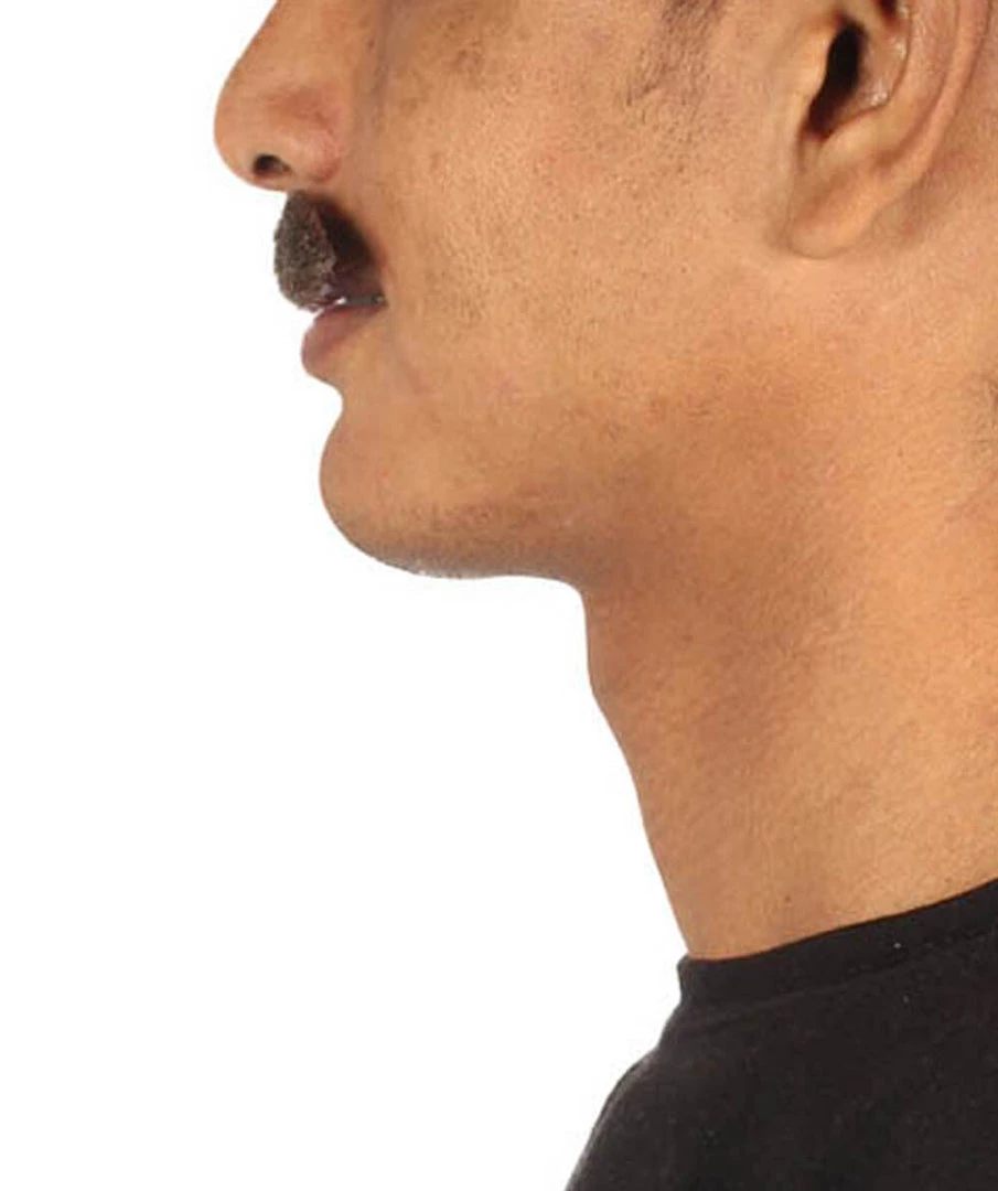 HPO Adult Men's Chopstash Standard Mustache Set | Multiple Colors 3 HPO Adult Men's Chopstash Standard Mustache Set | Multiple Colors