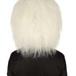 HPO Adult Unisex Christmas Side/Back Lace Front Santa Wig And Beard 12 HPO Adult Unisex Christmas Side/Back Lace Front Santa Wig And Beard