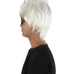 HPO Adult Men’s 50s Famous Unruly Pop Art Artist Messy White Wig With Glasses