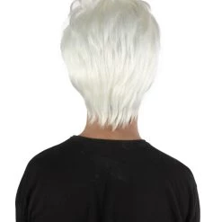 HPO Adult Men’s 50s Famous Unruly Pop Art Artist Messy White Wig With Glasses
