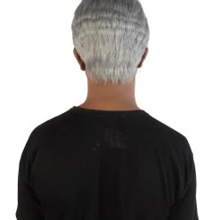 HPO Men's US Chief Pandemic Frantic Fauci Doctor Grey Silly Wig