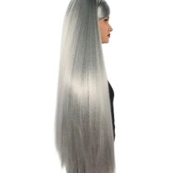 HPO Adult Women's Silver American Pop Star High Ponytail Wig